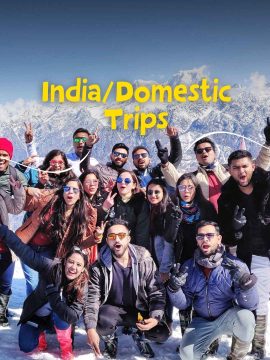 Domestic/India Trips