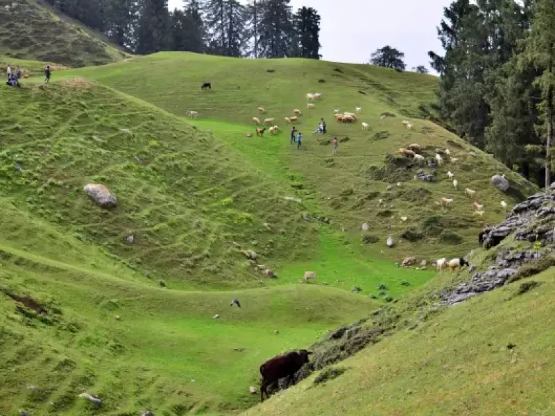 Budher-Caves